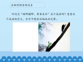 苏教版六年级科学下册4.3 有趣的食物链_课件
