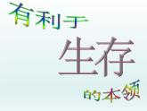 苏教版六年级科学下册4.2《有利于生存的本领》教学课件