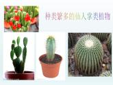 苏教版六年级科学下册4.2《有利于生存的本领》教学课件