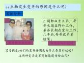 苏教版六年级科学下册2.3 寻找遗传与变异的秘密(8)课件