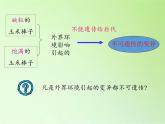 苏教版六年级科学下册2.3 寻找遗传与变异的秘密(8)课件