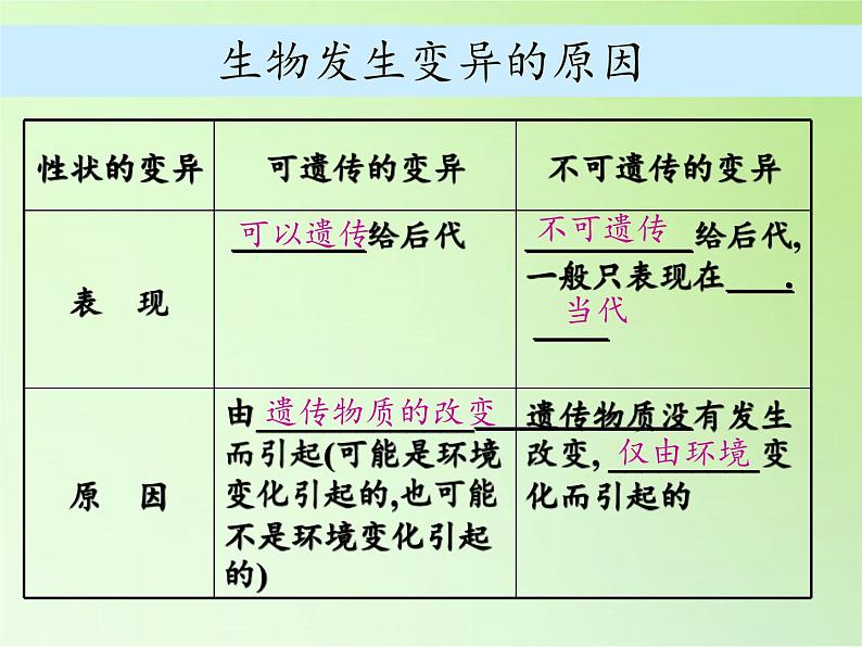 苏教版六年级科学下册2.3 寻找遗传与变异的秘密(8)课件06