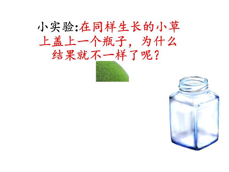 苏教版六年级科学下册 6.1 拓展课件02