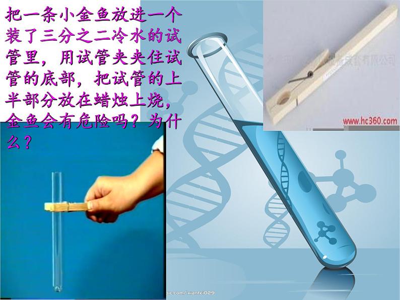 苏教版六年级科学下册 6.1 拓展课件06