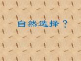 苏教版六年级科学下册3.3 达尔文与他的“进化论”课件