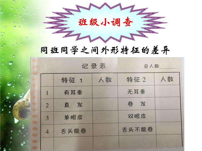 苏教版六年级科学下册2.2 生物的变异现象课件第5页