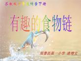 苏教版六年级科学下册4.3 有趣的食物链(1)课件