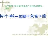 苏教版六年级科学下册4.3 有趣的食物链(1)课件