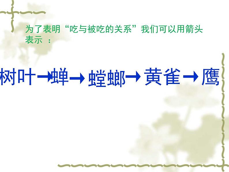 苏教版六年级科学下册4.3 有趣的食物链(1)课件第3页