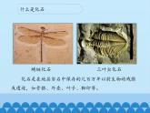 苏教版六年级科学下册3.2 化石告诉我们什么_课件