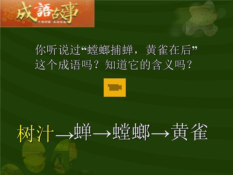 苏教版六年级科学下册4.3 有趣的食物链课件04