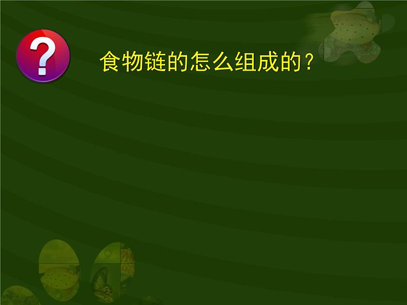 苏教版六年级科学下册4.3 有趣的食物链课件07