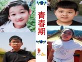 苏教版六年级科学下册1.2 悄悄发生的变化.课件