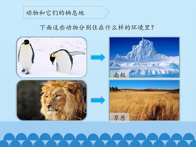 苏教版六年级科学下册4.1 寻找生物的家园_课件第4页