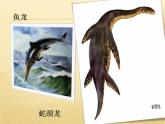 苏教版六年级科学下册3.1. 消失了的恐龙课件