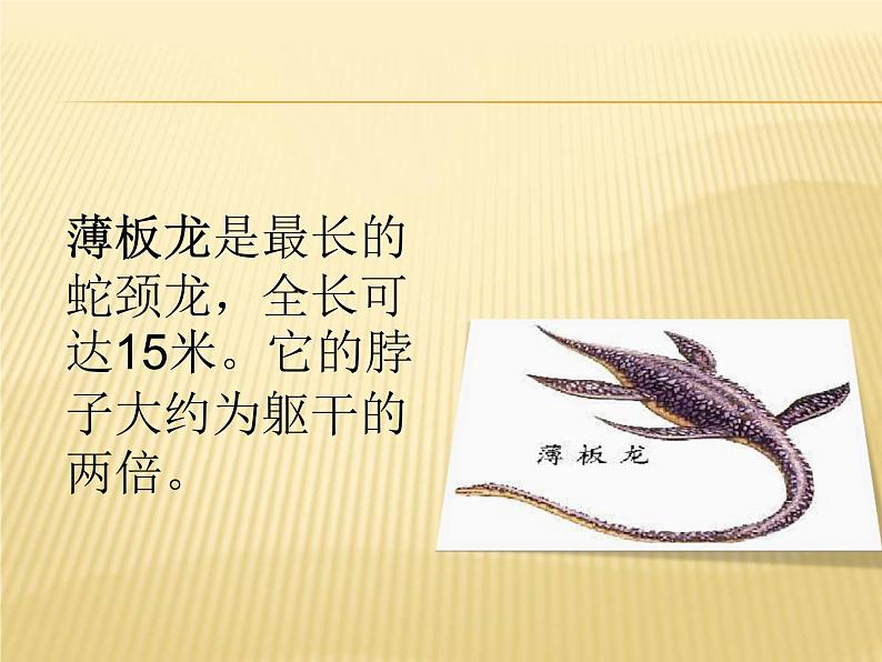 苏教版六年级科学下册3.1. 消失了的恐龙课件06