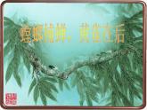 苏教版六年级科学下册4.3. 有趣的食物链课件