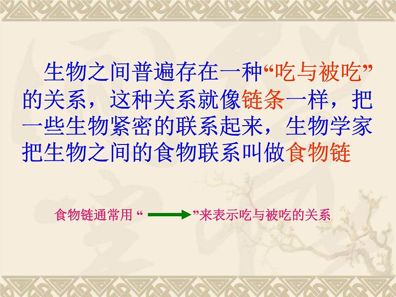 苏教版六年级科学下册4.3. 有趣的食物链课件08