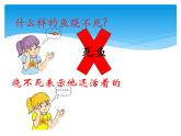 苏教版六年级科学下册 6.1. 拓展课件