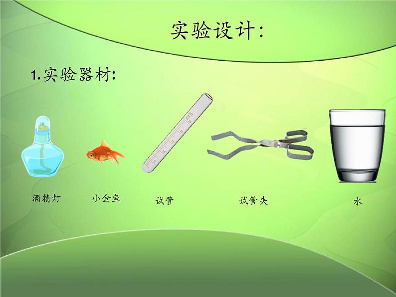 苏教版六年级科学下册 6.1. 拓展课件第4页