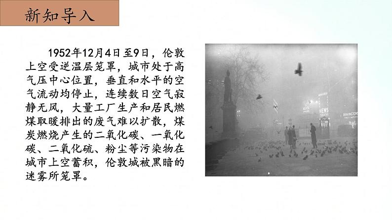 冀人版五年级上册 2.4《环境与健康》课件+视频+同步教案+练习题03