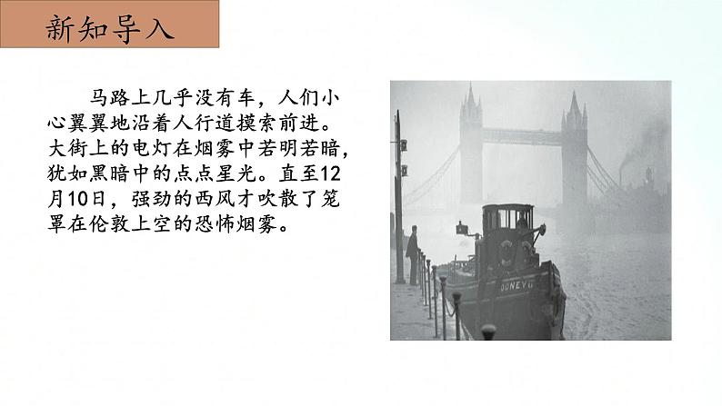 冀人版五年级上册 2.4《环境与健康》课件+视频+同步教案+练习题04