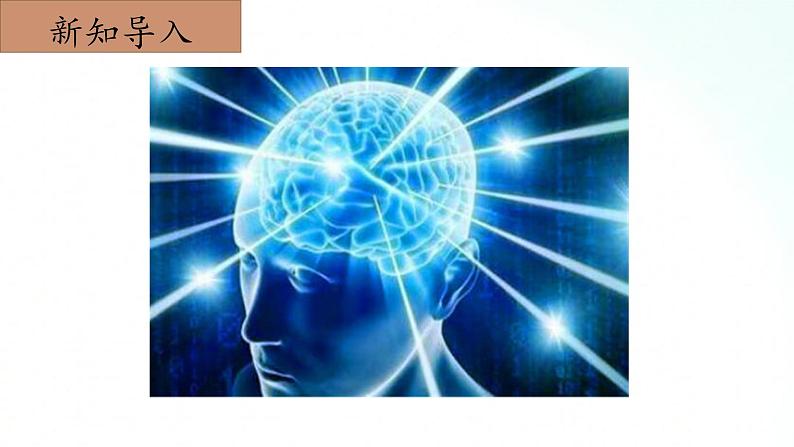 冀人版五年级上册 2.2《人体的司令部》 课件+视频+同步教案+练习题04