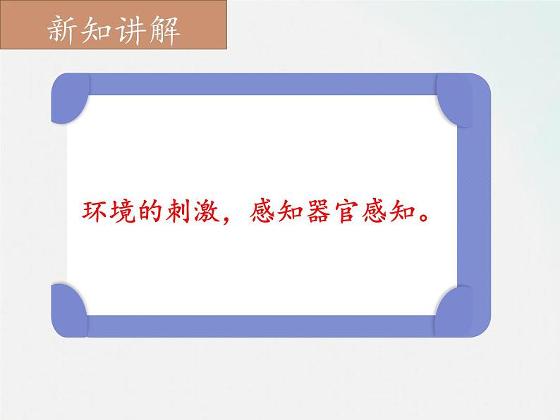 冀人版五年级上册 2.1《刺激与反应》 课件+视频+同步教案+练习题06