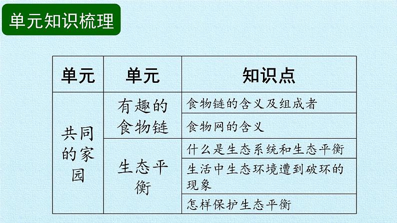 苏教版六年级科学下册第4单元 共同的家园 复习课件第3页