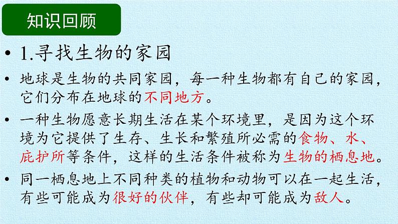 苏教版六年级科学下册第4单元 共同的家园 复习课件第4页