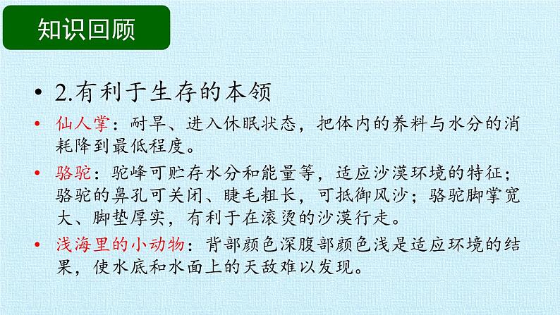 苏教版六年级科学下册第4单元 共同的家园 复习课件第5页