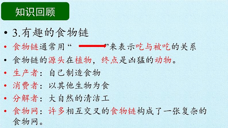 苏教版六年级科学下册第4单元 共同的家园 复习课件第7页