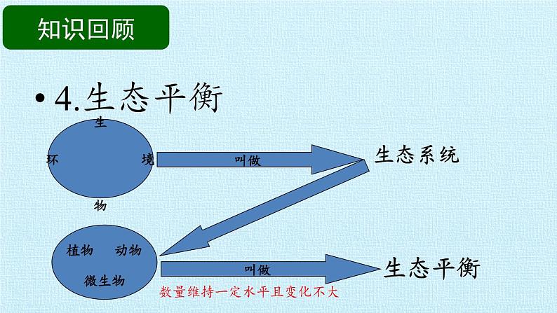 苏教版六年级科学下册第4单元 共同的家园 复习课件第8页