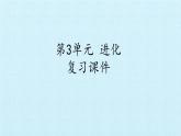 苏教版六年级科学下册第3单元 进化 复习课件