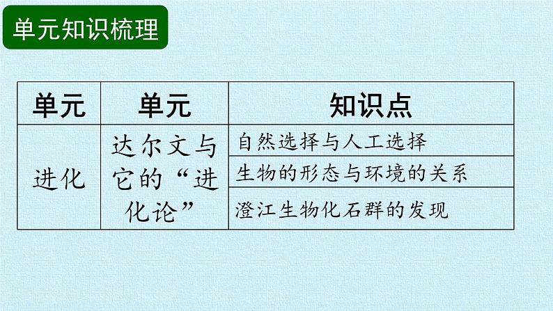 苏教版六年级科学下册第3单元 进化 复习课件第3页