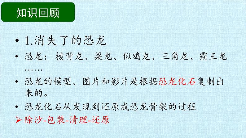 苏教版六年级科学下册第3单元 进化 复习课件第4页