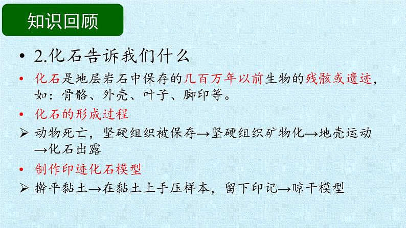 苏教版六年级科学下册第3单元 进化 复习课件第5页