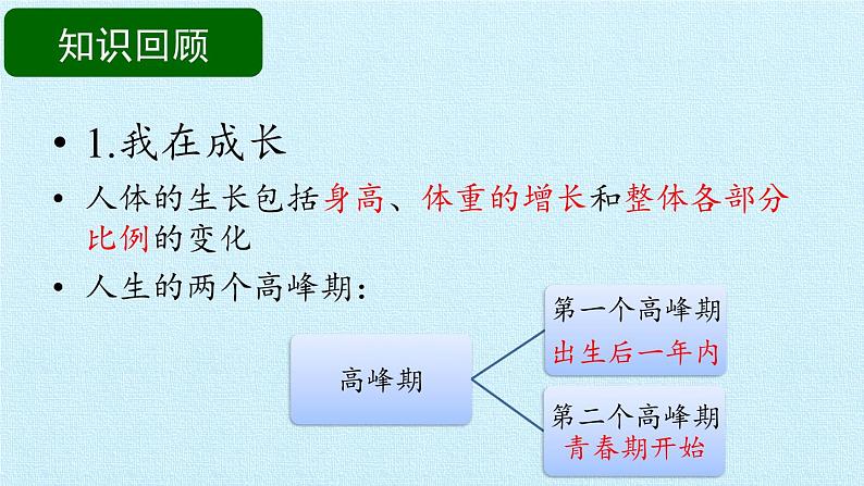 苏教版六年级科学下册第1单元 我们长大了 复习课件第4页