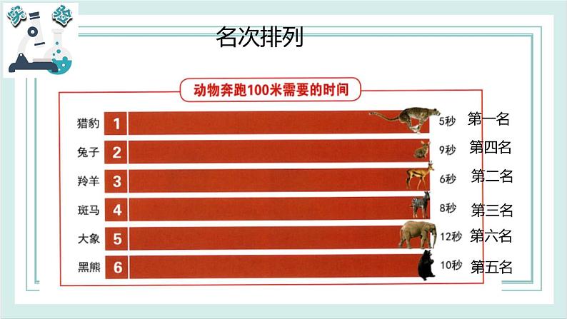 1.5比较相同距离内运动的快慢 课件04