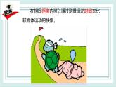1.6比较相同时间内运动的快慢 课件