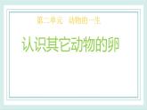 2.2认识其它动物的卵 课件