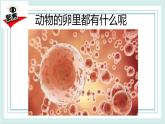 2.2认识其它动物的卵 课件