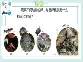 2.2认识其它动物的卵 课件