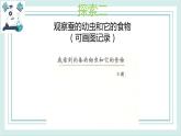 2.3蠶長大了 課件
