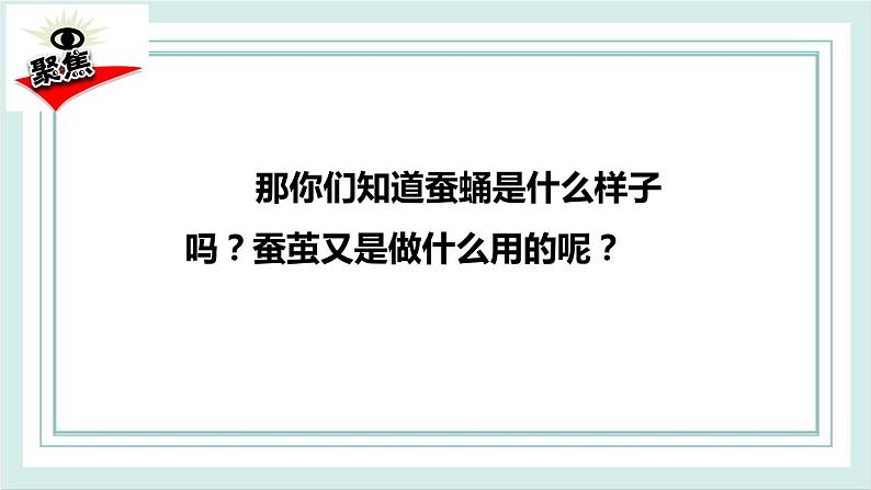 2.4蚕变了新模样 课件第3页