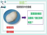 2.4蠶變了新模樣 課件