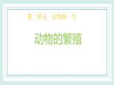 2.7動物的繁殖 課件