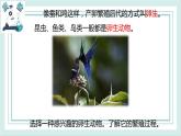 2.7動物的繁殖 課件