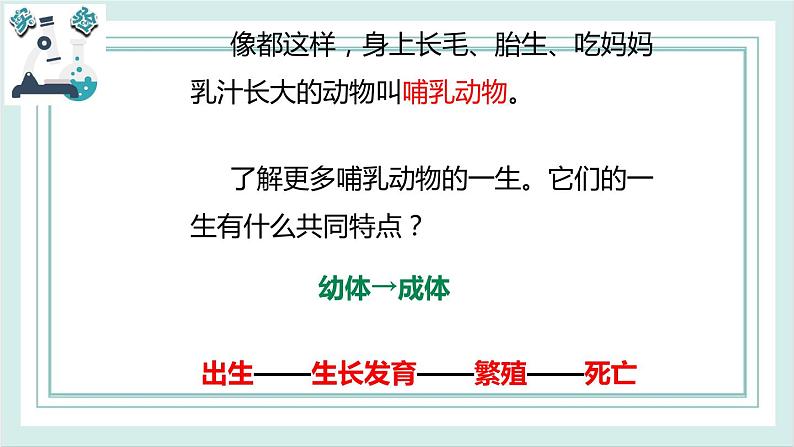 2.8动物的一生 课件第7页