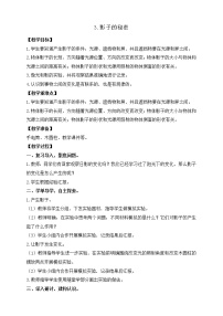 2021学年3.影子的秘密优秀教学设计